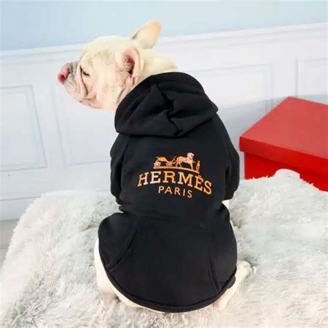 hermes equitazione|hermes equestrian and dog sweatshirts.